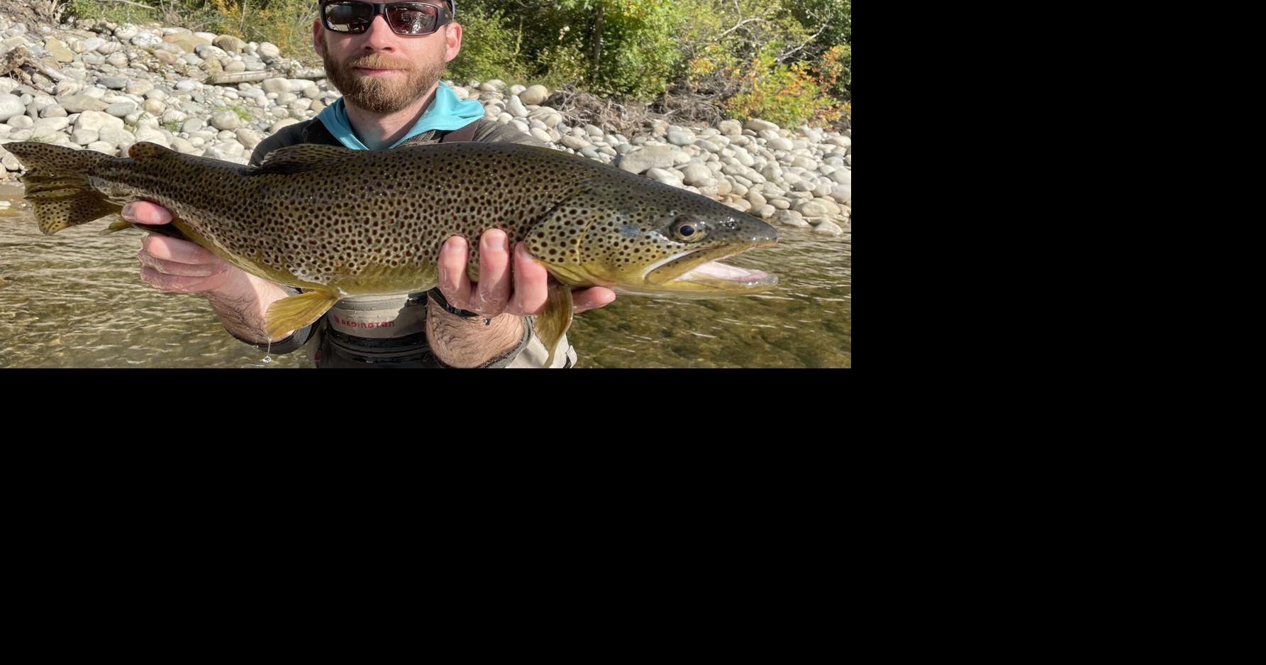Dramatic increase in flood repair projects reduces fish habitat on Stillwater River