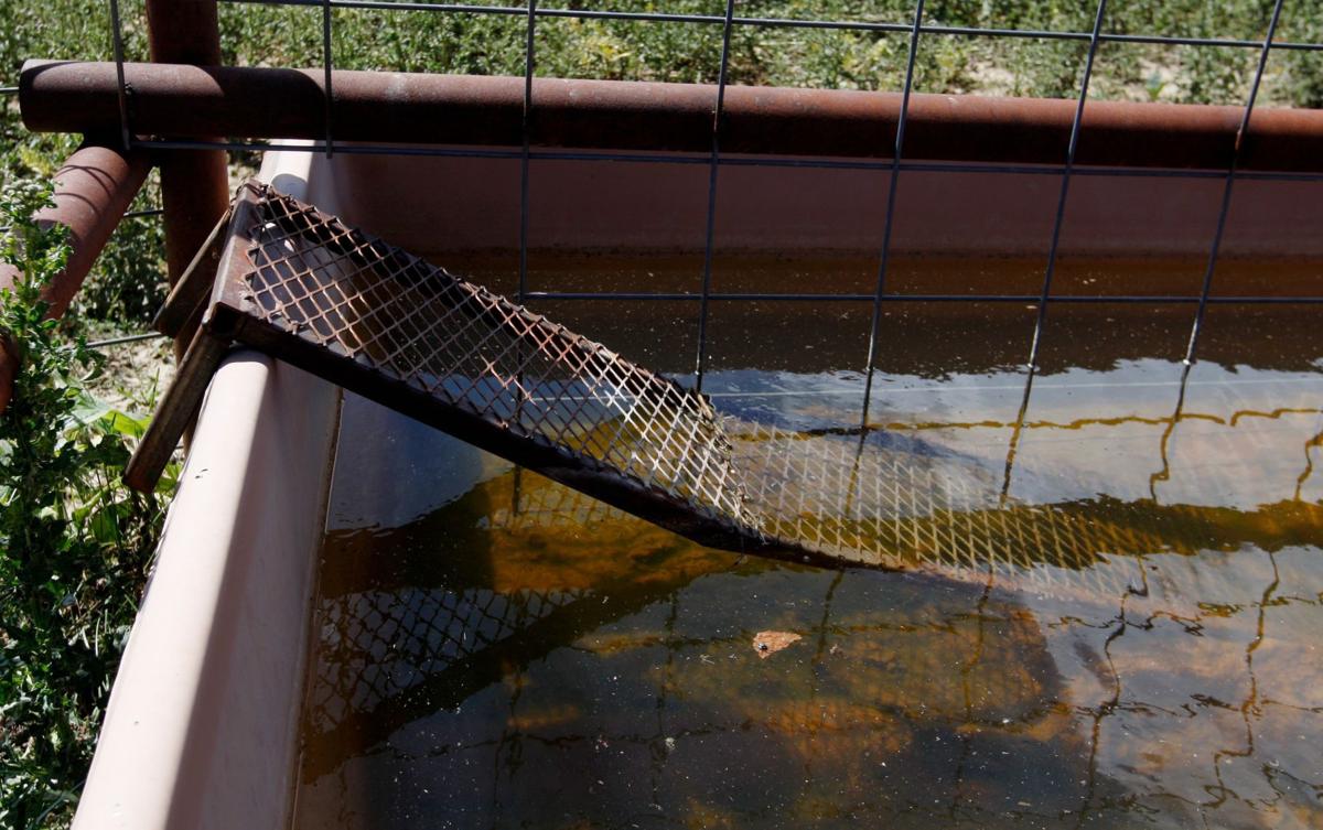 Photos Raising the Steaks tour Montana News