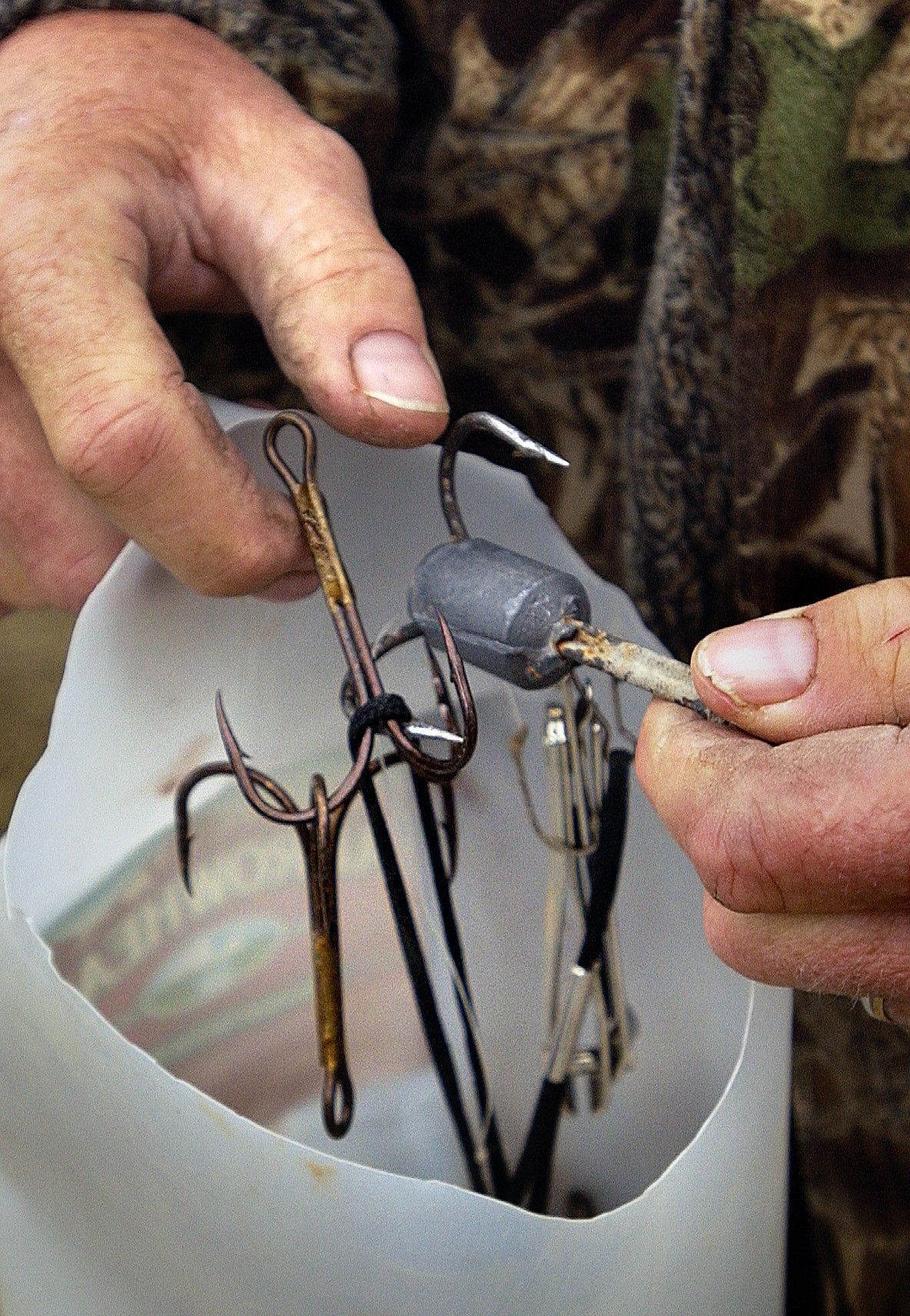 Time to apply for paddlefish tag Outdoors