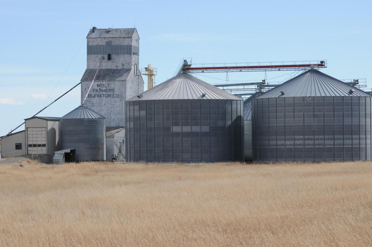 Photos Montana grain elevators Montana News