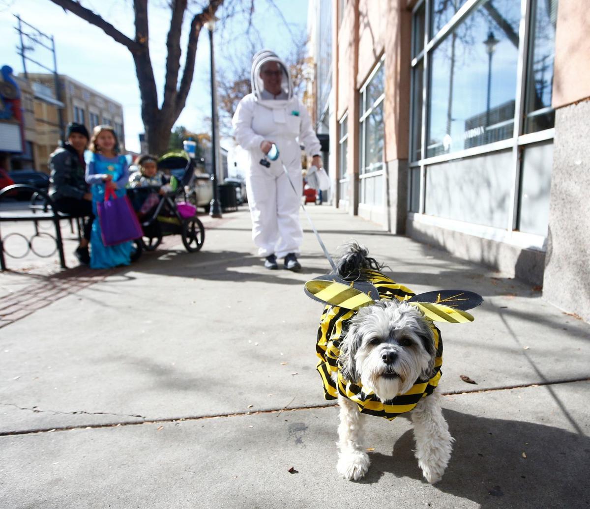 Downtown Trick or Treat