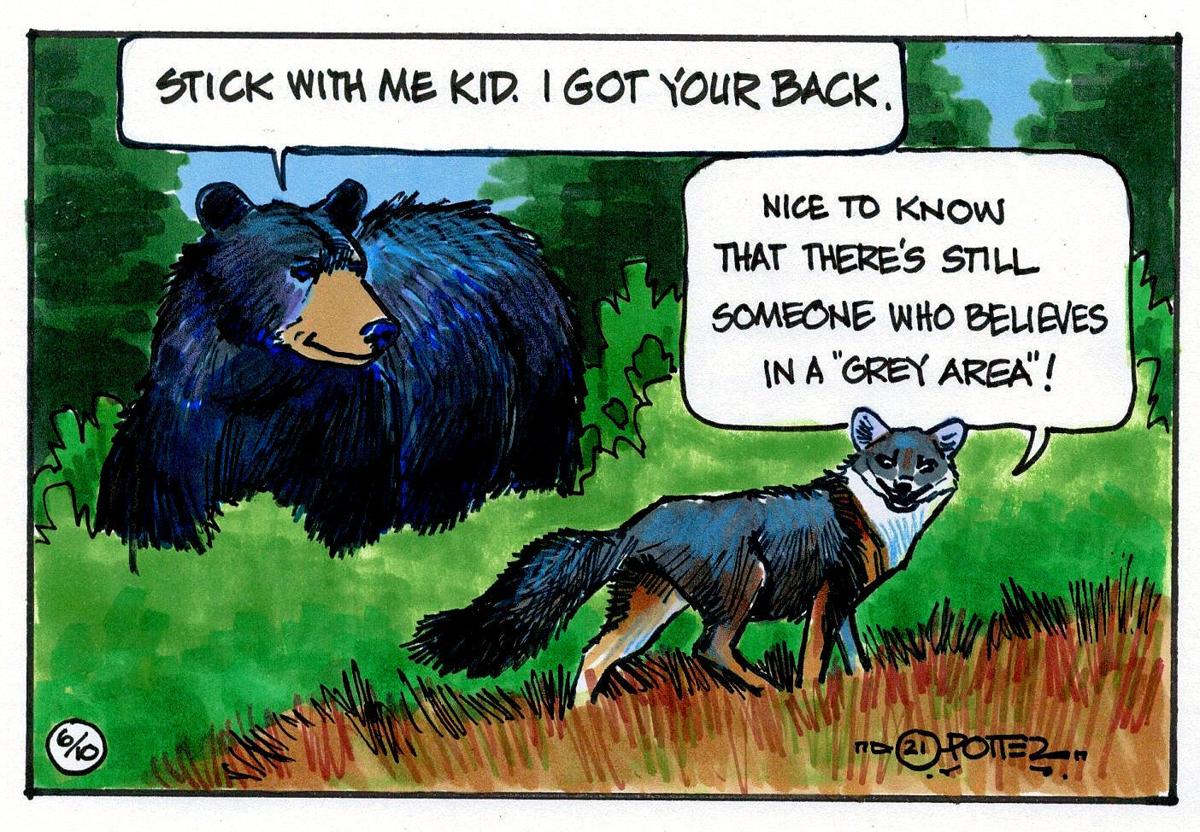 Bear friendly