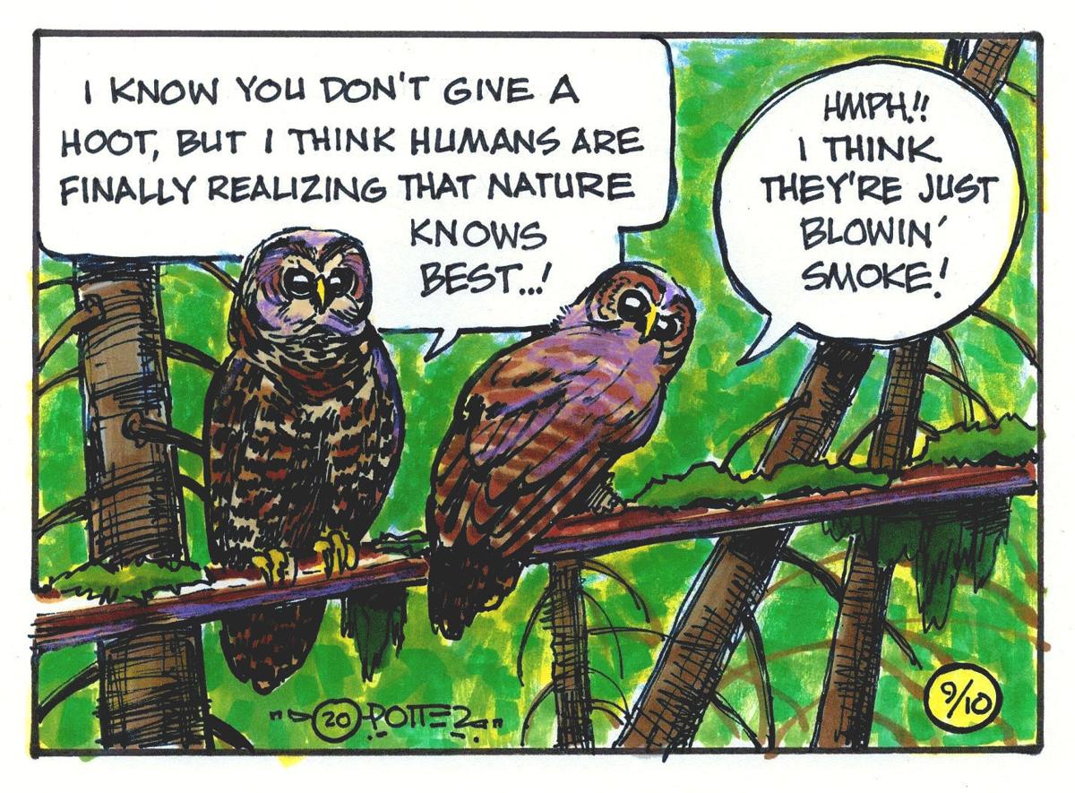 Owl puns
