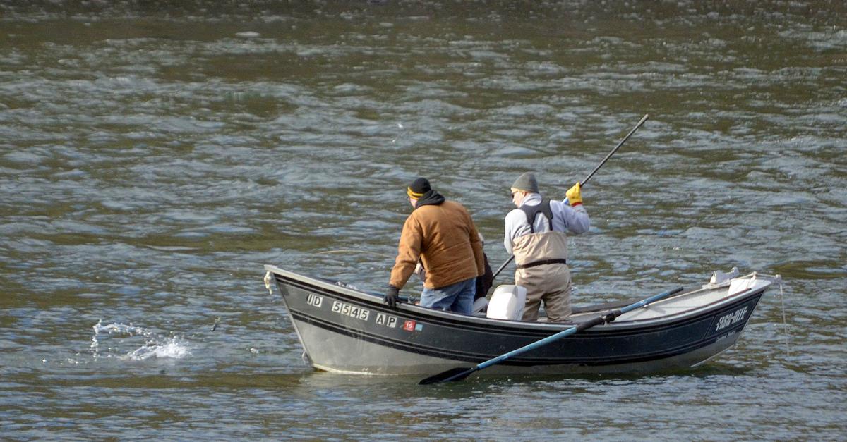 Steelhead fishing