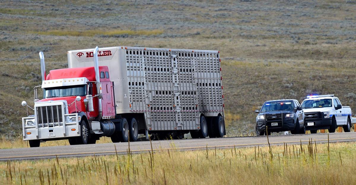 truck hysham ranchers responders stranded billingsgazette unloaded mtstandard missoulian