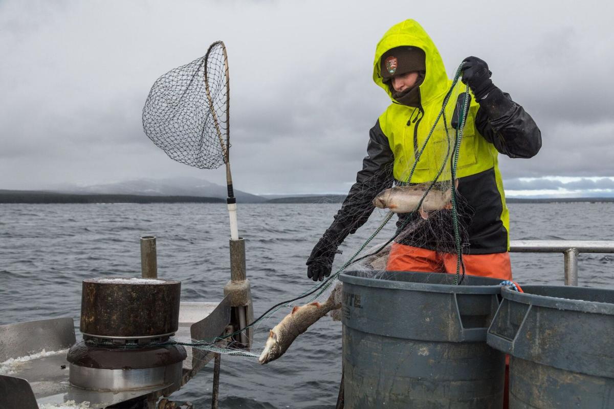 A large lake trout stole this teen's ice fishing trap. Seven hours
