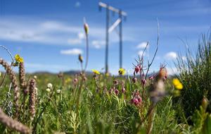 NorthWestern Energy and Montana cities file green power plan