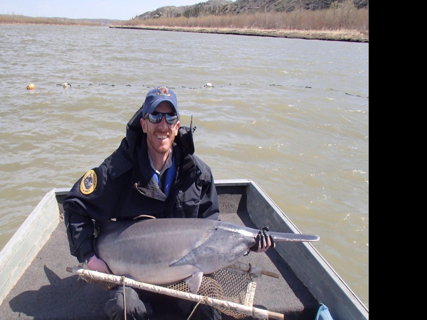Montana Fishing Report Paddlefish Season Kicks Off On Missouri