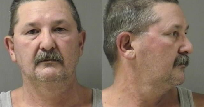 Man pleads guilty to animal cruelty charges in horse neglect case