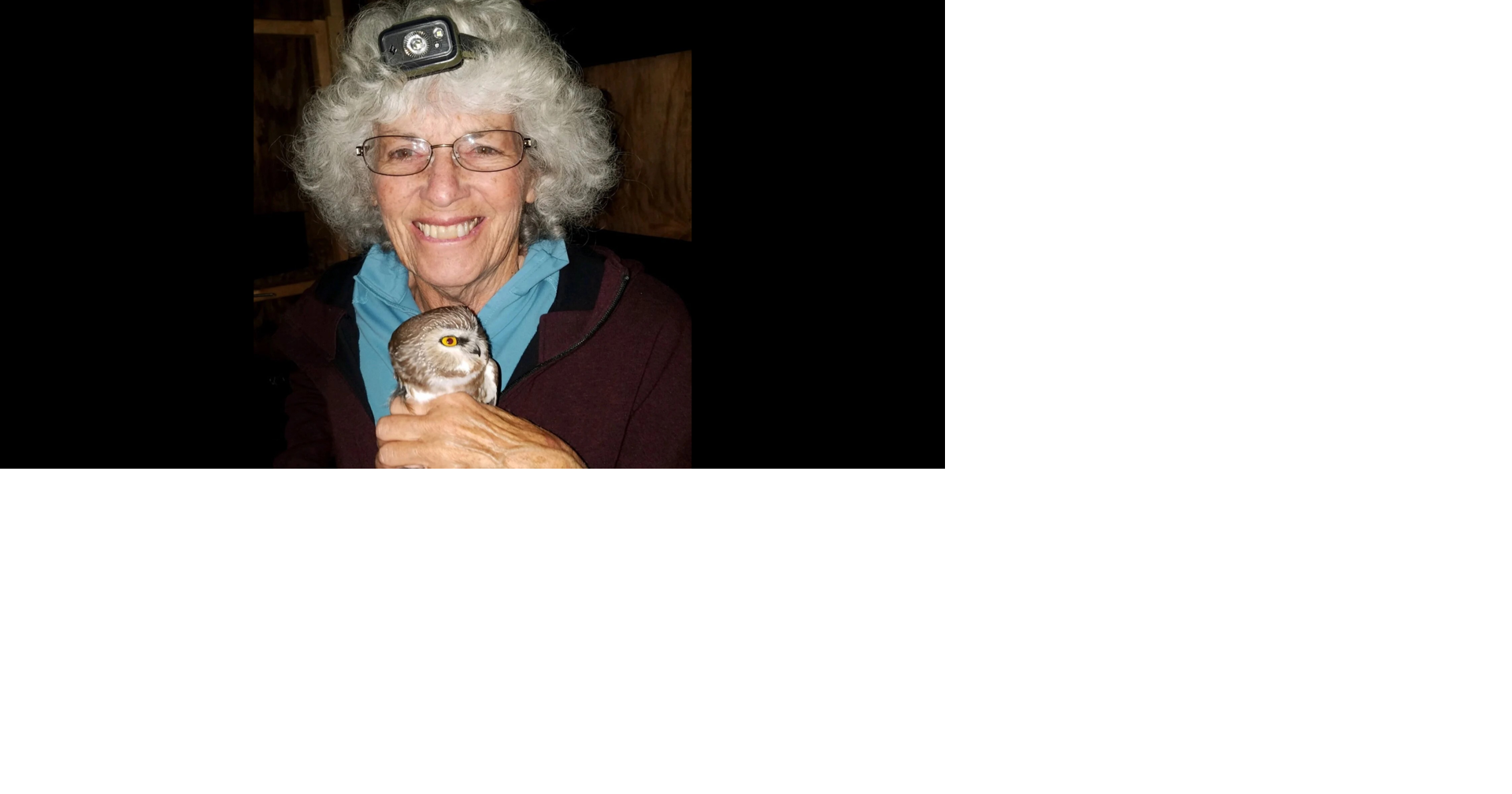 She gives a hoot: Yellowstone’s Katy the owl lady uplifts bird program