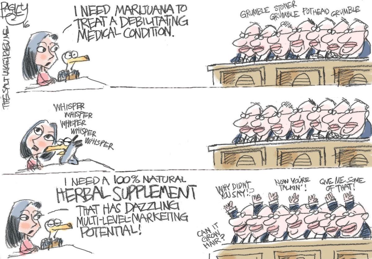 090817 Editorial Cartoon.jpg