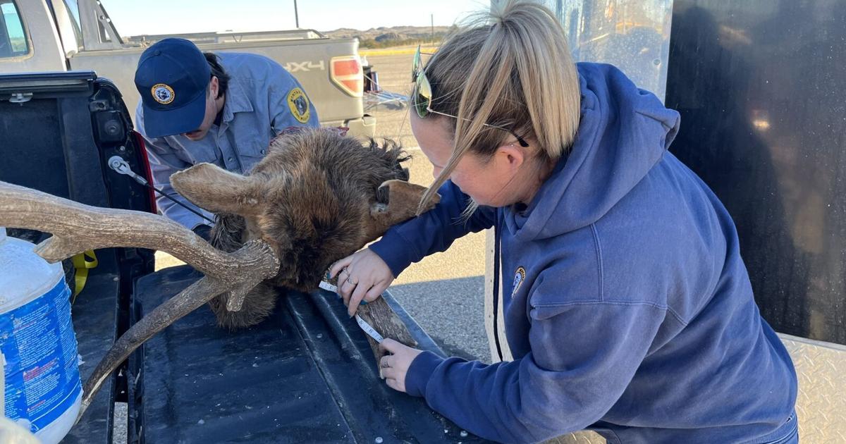 Wasted Humans Chronic wasting disease crossover with humans causes alarm