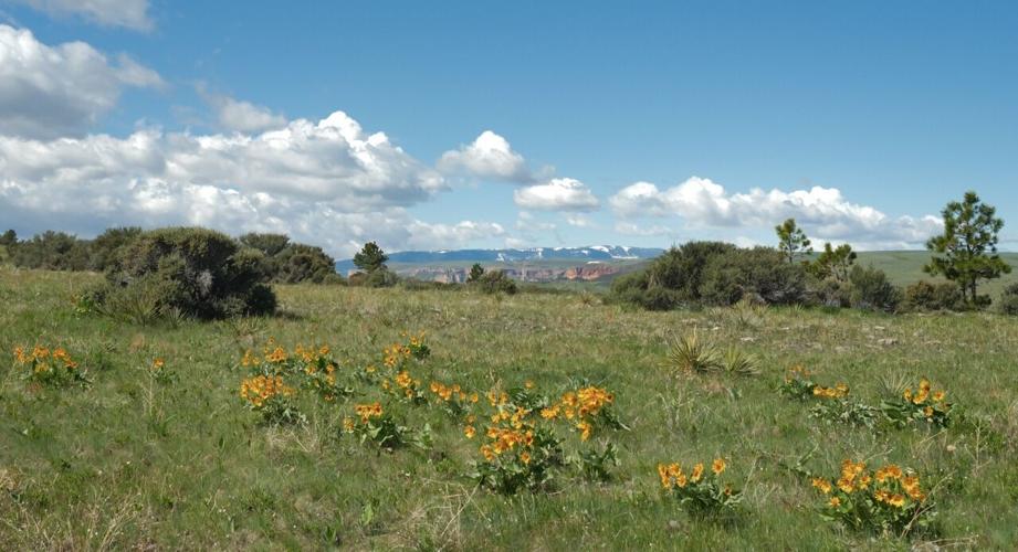 Southeast Montana’s Big, Open Spaces are the Perfect Place for an Escape: Part I