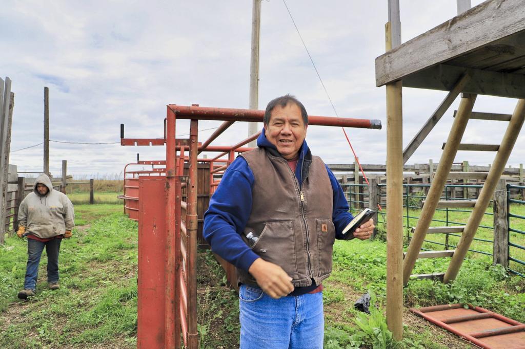 Standing Rock Rancher Runs Nation S Largest Native Owned Buffalo Herd State Regional Billingsgazette Com