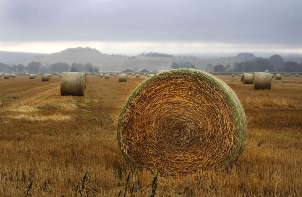 3.4 Belfry Hay Field