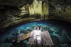 Snorkeling and diving are the ways to experience the underground cavernous spring at Devil’ s Den Spring in Williston on Feb. 27, 2026.
