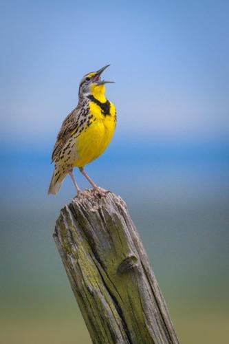 Celebrate Earth Day in Southeast Montana