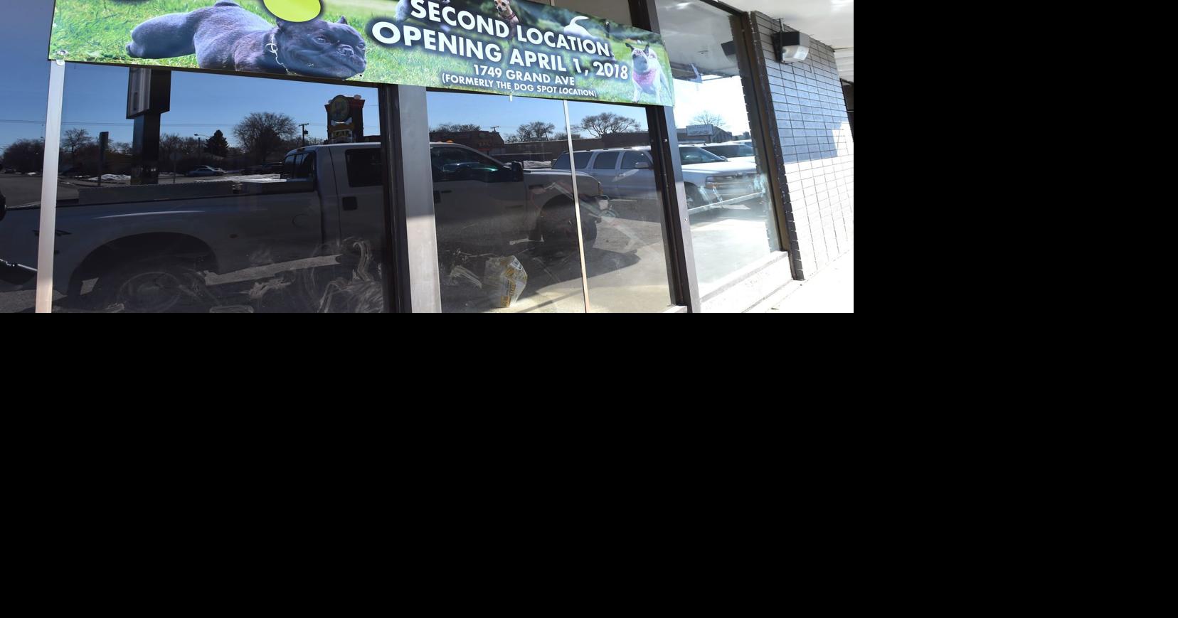 Posh dog grooming business expands in Billings