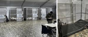 Detainees confined to small metal cages at Alligator Alcatraz, report finds