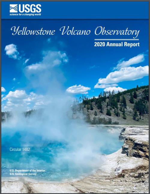 YVO 2020 report