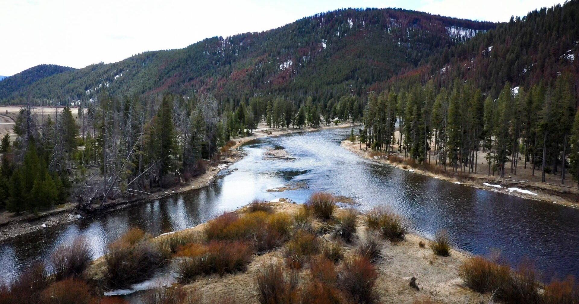 FWP to propose fisheries mortality study for Montana rivers - Vimarsana News