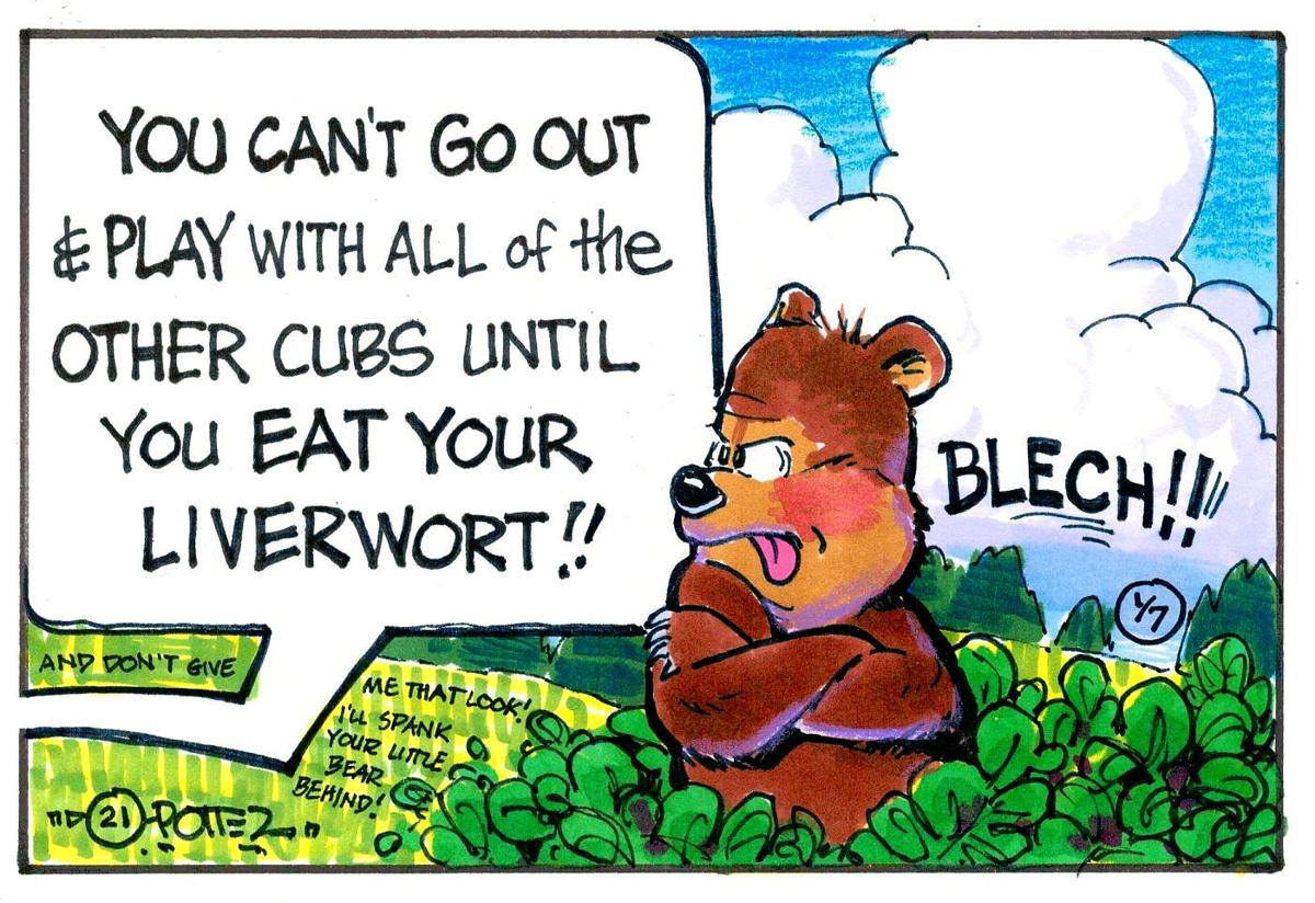 Picky bear