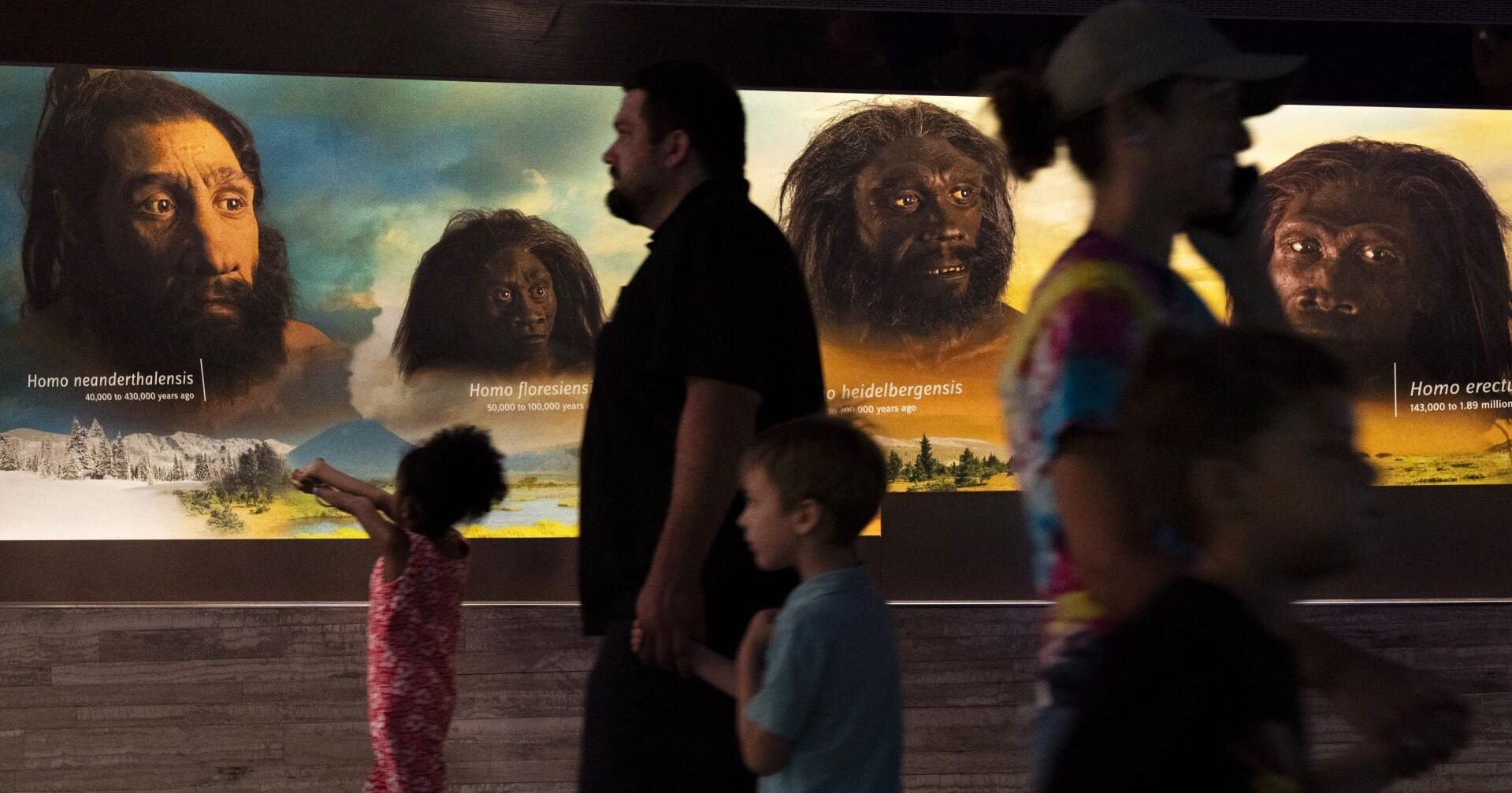 New DNA research shows we still carry Neanderthal genes - Vimarsana News
