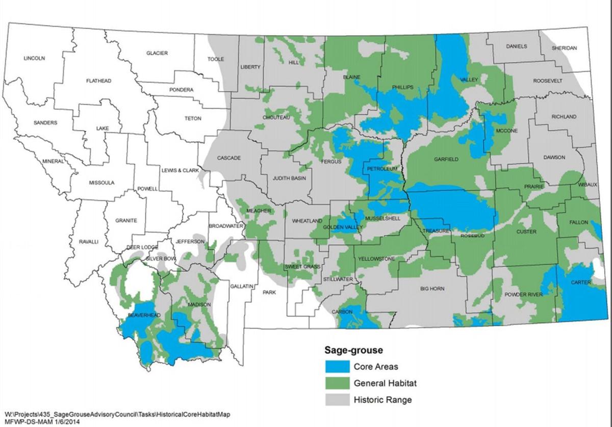 Montana praises sage grouse decision, criticizes feds' plans
