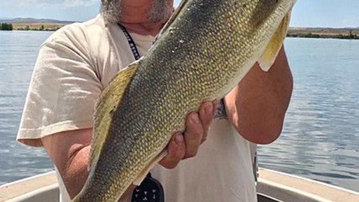 Montana Fishing Report After Runoff Area Rivers Are Finally Fishable Outdoors Billingsgazette Com