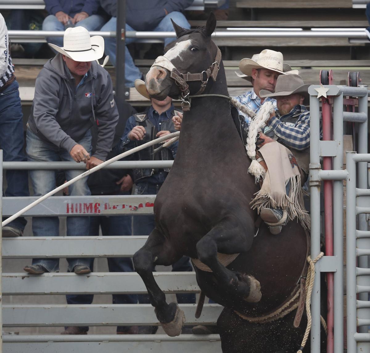 Photos Riders compete in the Home of the Champions Rodeo in Red Lodge