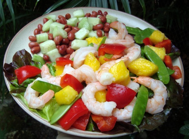 Shrimp and Mango Salad