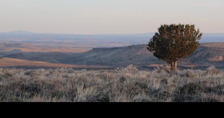 $1M in funding awarded to preserve Montana sagebrush ecosystems