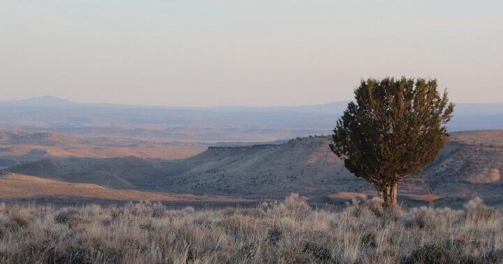 M in funding awarded to preserve Montana sagebrush ecosystems M in funding awarded to preserve Montana sagebrush ecosystems