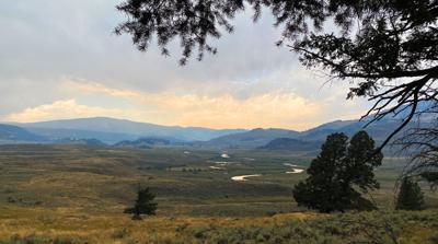 Beholding a wild wonder: Visiting Yellowstone always fulfilling