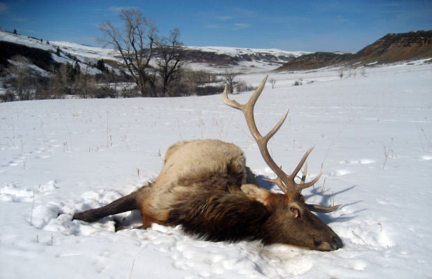Wyoming Game and Fish, Crow Nation at odds over hunting ...