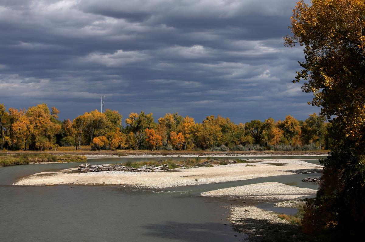 Fall colors on the Yellowstone