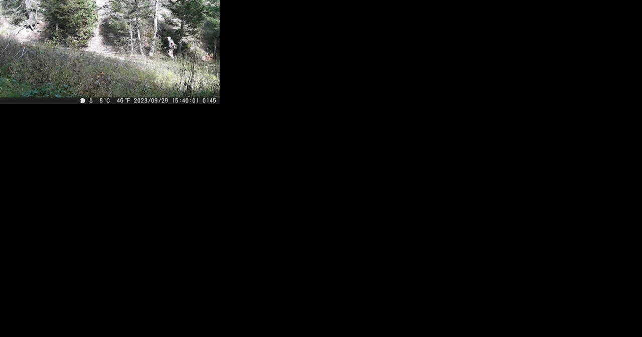 Hunting violation case against top FWP official dismissed - Vimarsana News