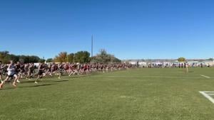 2026 Montana state cross country meet winners