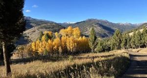 The Rewind: April 17