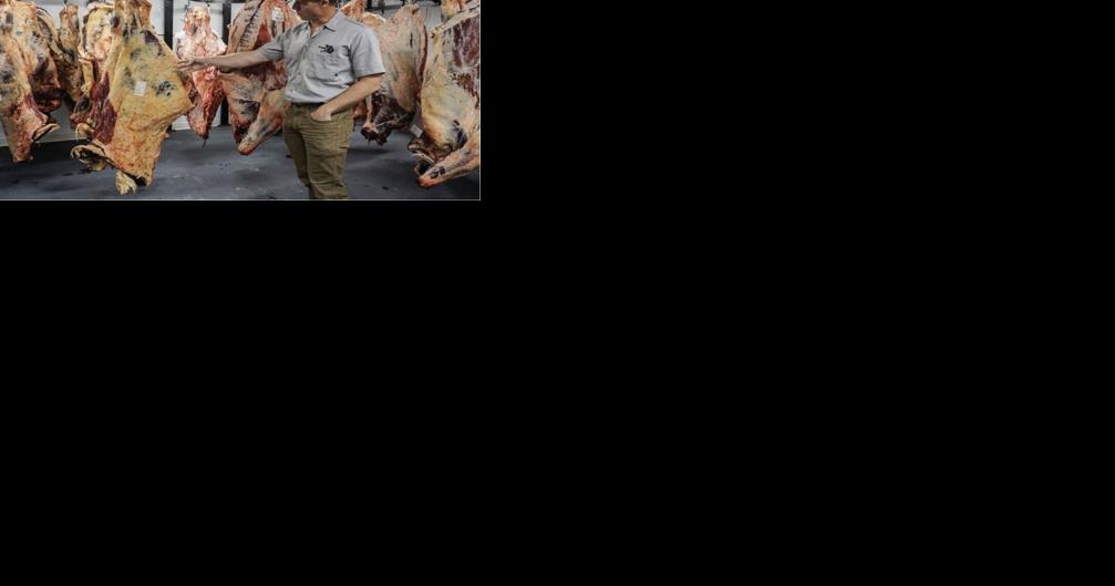 Montana's independent ranchers need customers to survive - Vimarsana News