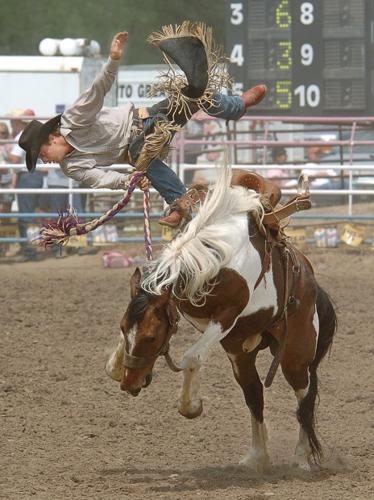Bucking Horse Sale