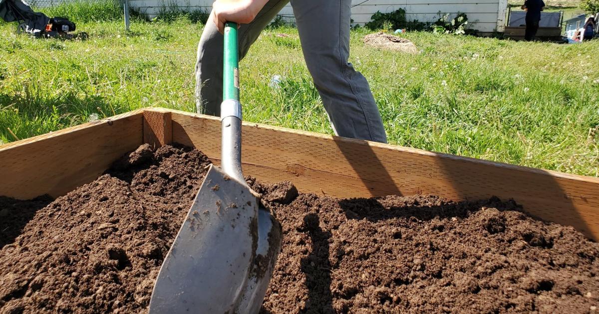 Free soil testing offered at Heights Gainan's by Riverstone
