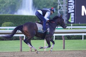 HORSERACING/