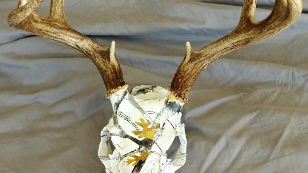 Deer Lodge Company Takes Trophy Head Preparation To Next Level