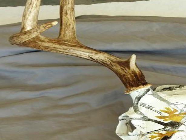 Deer Lodge Company Takes Trophy Head Preparation To Next Level Outdoors Billingsgazette Com