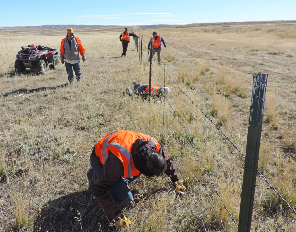 Agencies cooperate to improve fence for Wyoming pronghorns Outdoors