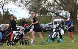 Divisional Golf