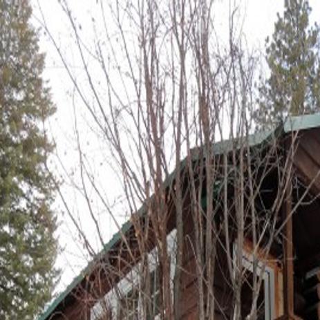 Rebuilding History Restoration Crews To Work On West Fork Ranger