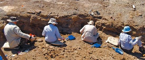 dinosaur dig in wyoming