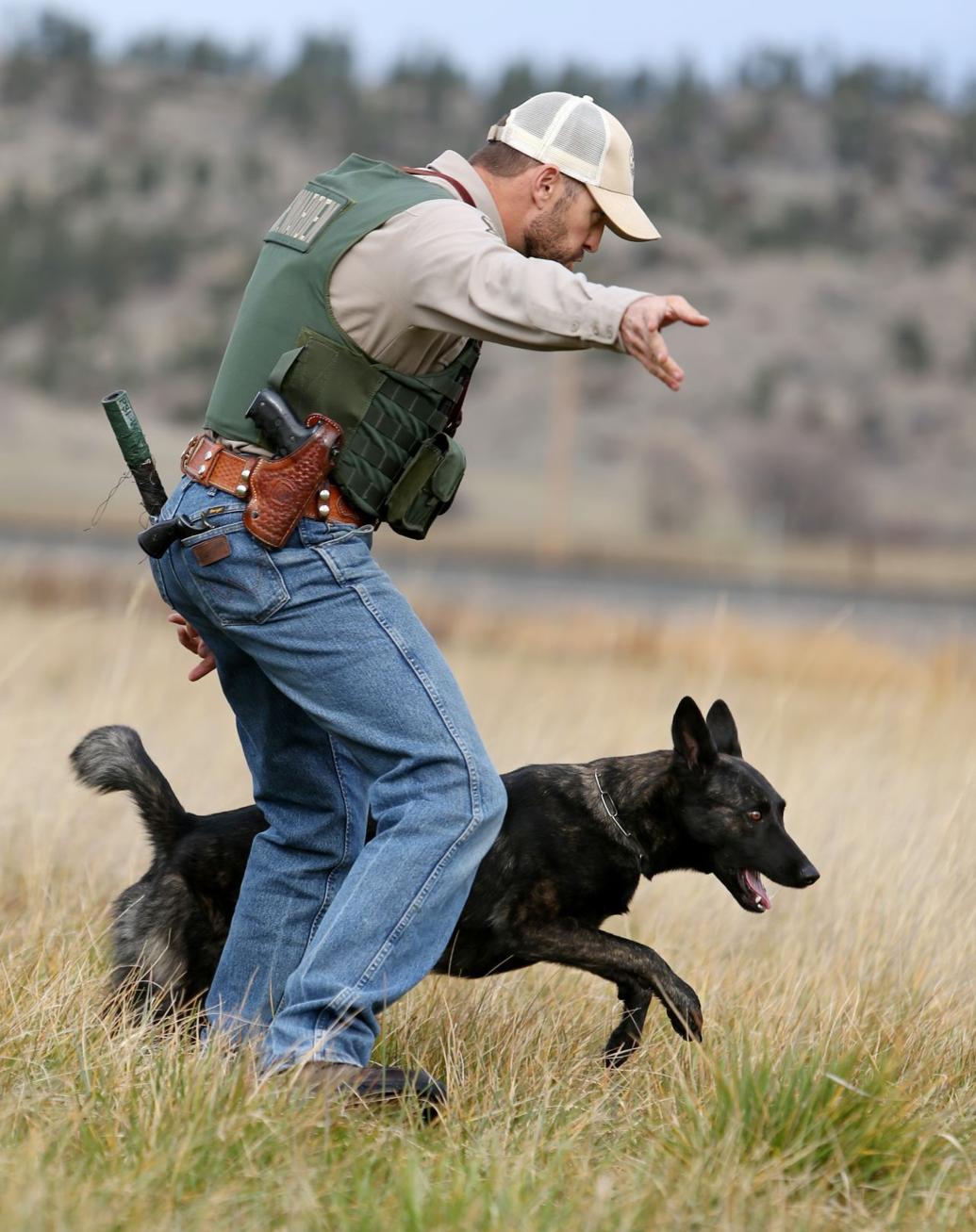 Montana FWP warden trains canine partner